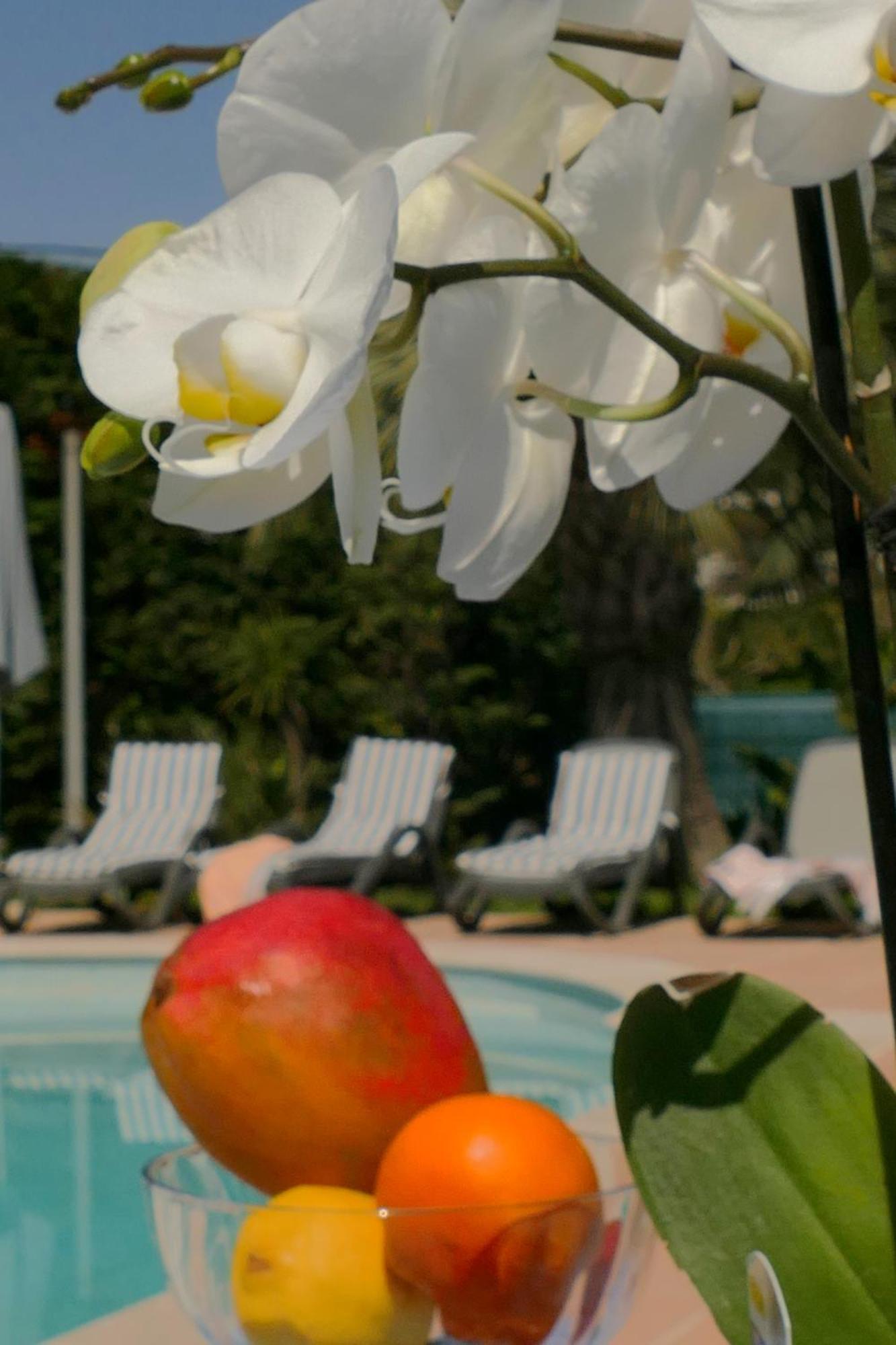 Villa Alessia Antibes Exterior foto