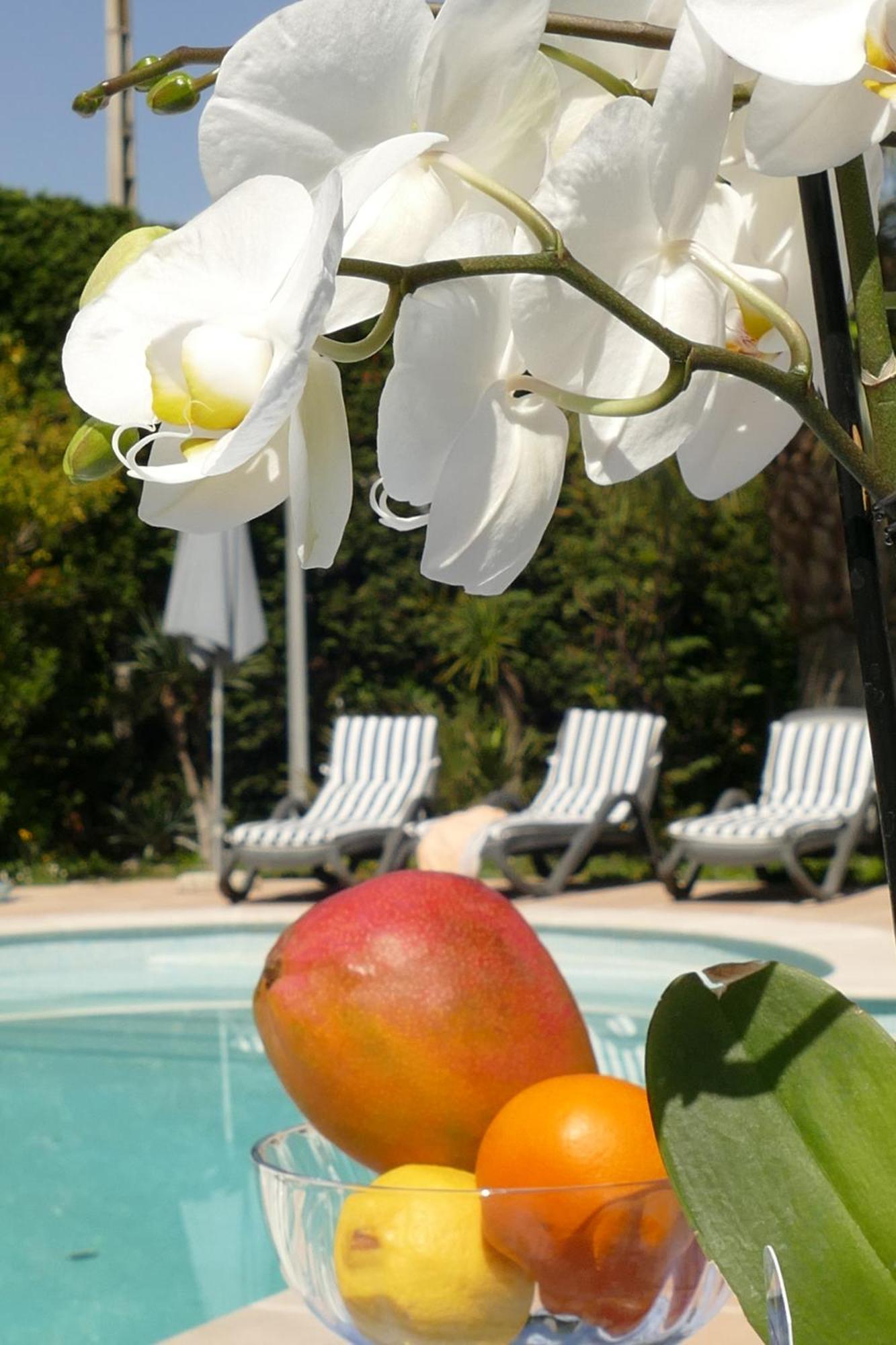 Villa Alessia Antibes Exterior foto